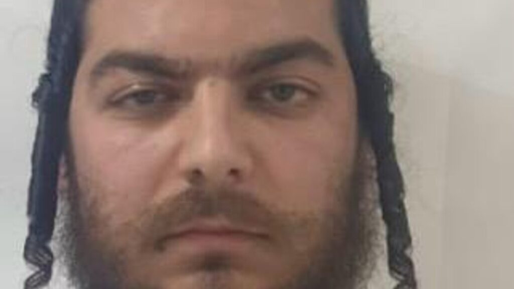 החשוד: מאיר גרינשטיין | צילום: משטרת ישראל