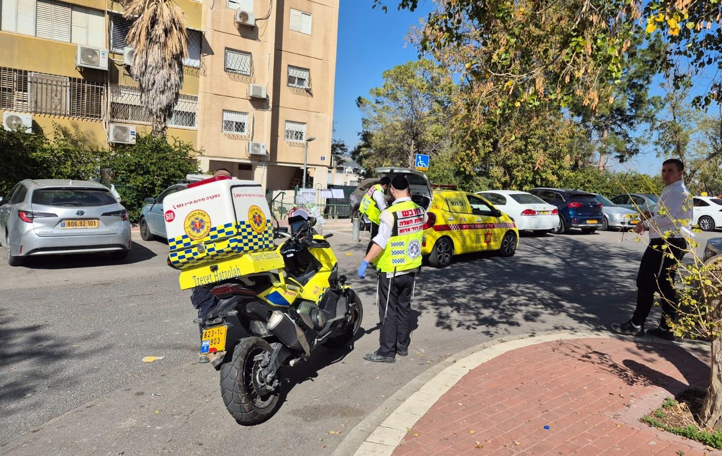 פחד גבהים: נפל מגובה 4 מטרים ונפצע בפלג גופו העליון - שוס ניוז