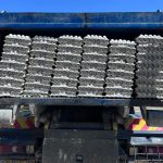 אסון: 50 אלף ביצים לא חוקיות הוחרמו