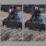 כלב נסחף בנחל קובי וחולץ