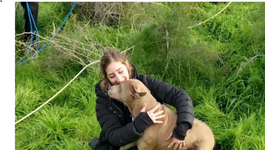 מפחיד: כלב נפל לבור עמוק