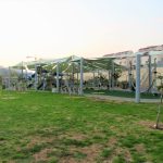 מוכנים למהפכה? עשרות אלפי יחידות דיור יחליפו את פארק ירמות