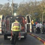 הקיץ מתקרב והנחשים גם: בן 10 הוכש על ידי נחש