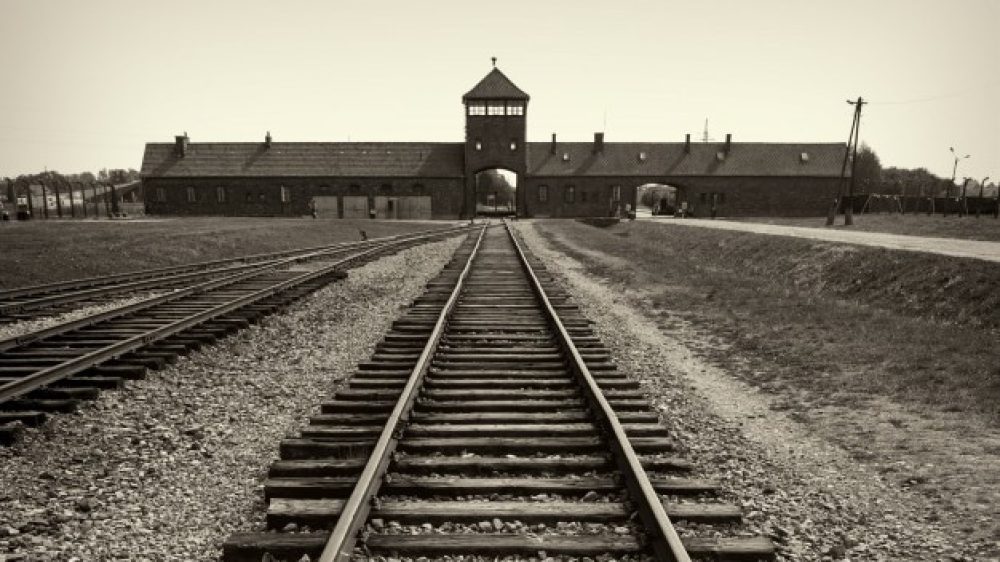 07f02681-86לחלחצלb8-4b44-9e5b-22aabed6f58b