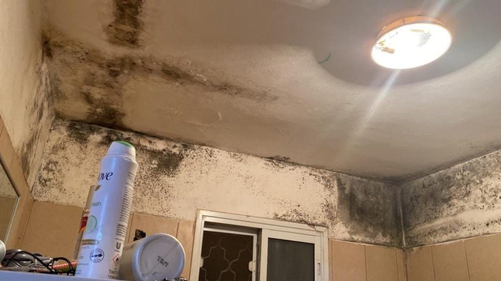 274534022_7580244118656090_730833905641836982_n