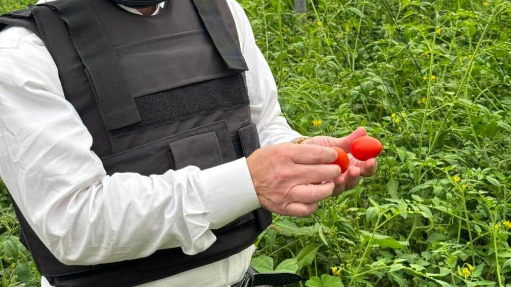 PHOTO-2023-11-12-23-43-13