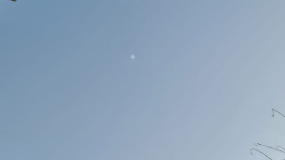 WhatsApp Image 2021-05-10 at 18.08.51