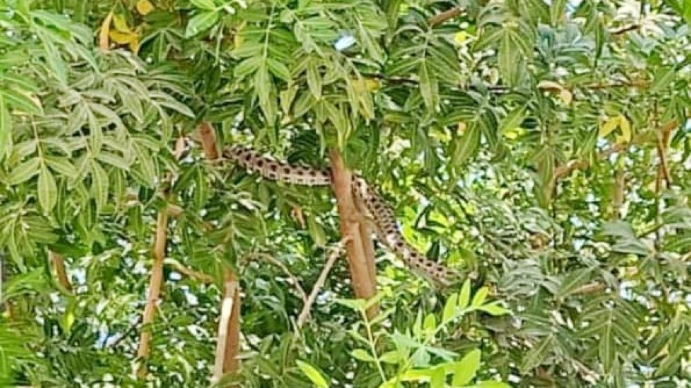 c0a301dd-cff6-4069-bb6f-47dd23c62b1a