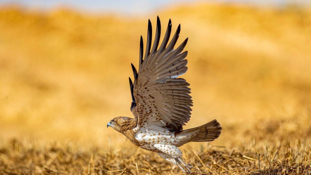 fe98d55c-d484-4db1-8d1e-acb000ef2c6e