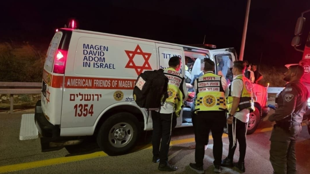 אלרגיה 2