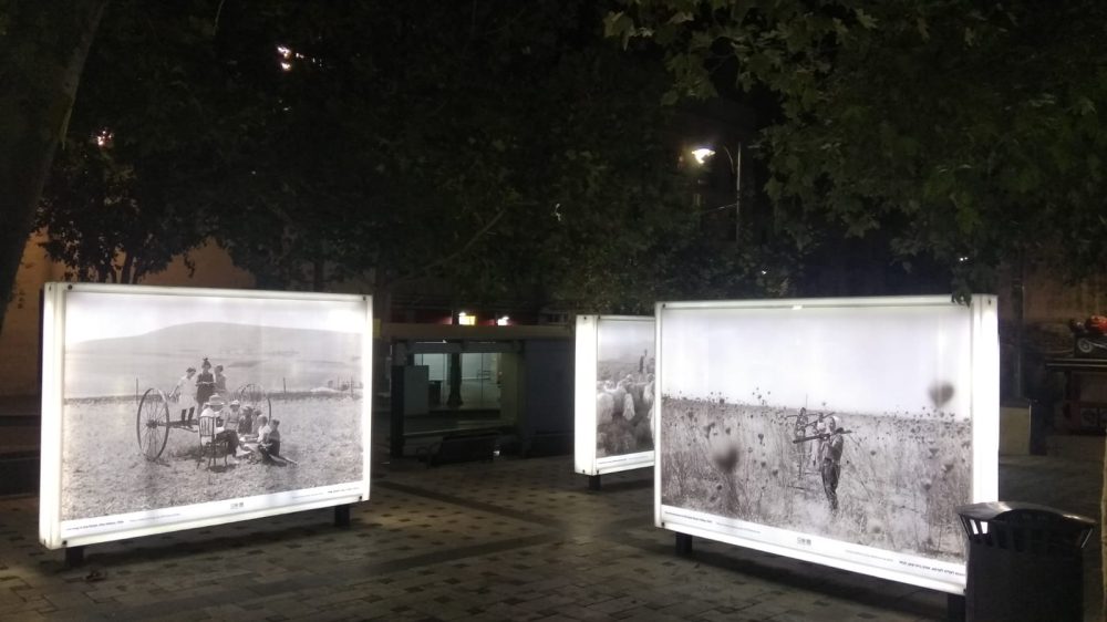 אחד מתצלומי התערוכה | צילום: אסף כהן, ארכיון קק"ל