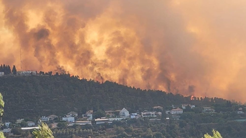 אריאל קדם, רשות הטבע והגנים