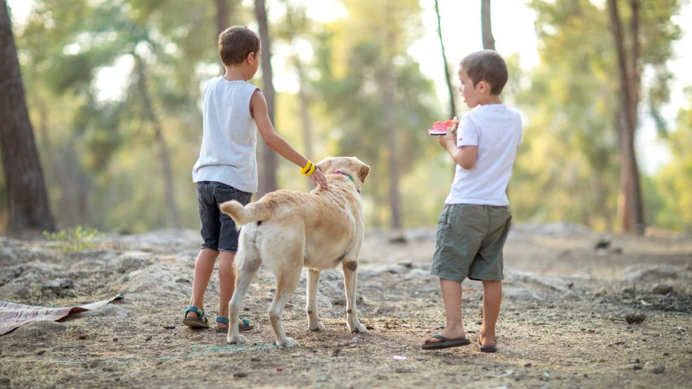 ??????? ?????? ???? ????? ??????? ????? ??????? ????? ???? ????? ?????