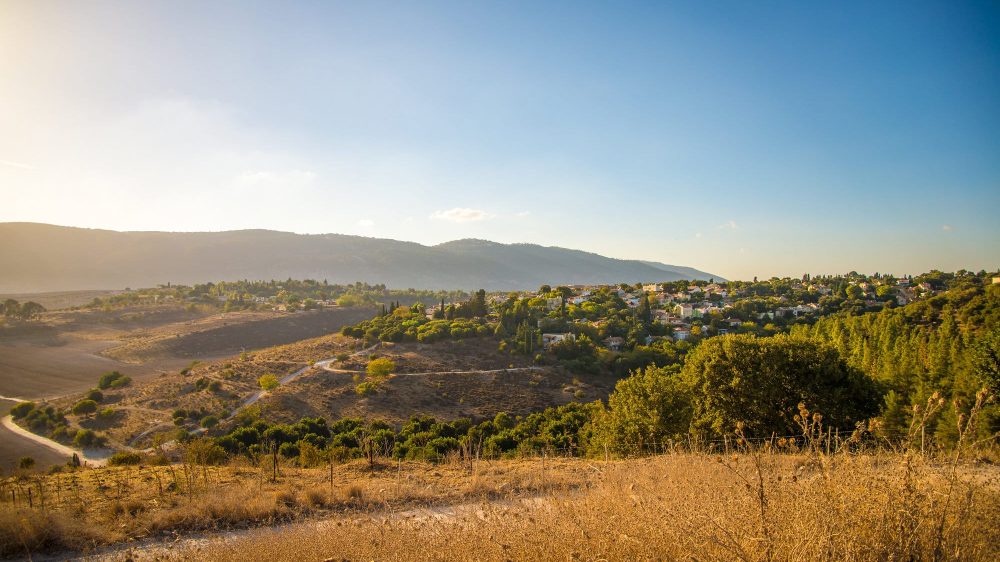 גן לאומי בית שערים - מנו גרינשפן