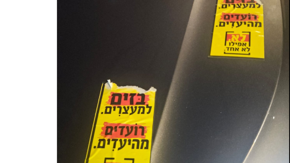 גרינברג הותקף