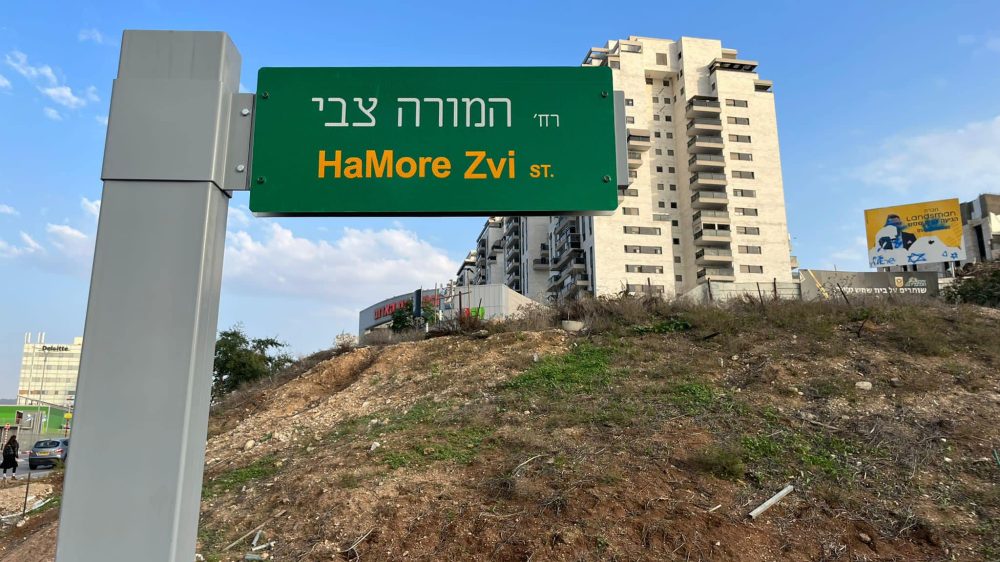 המורה צבי
