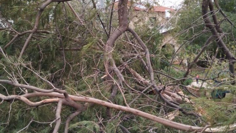 חוטי חשמל קרועים