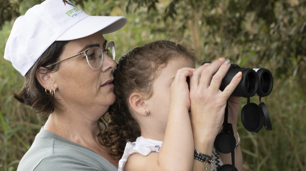 חורחה נובומינסקי