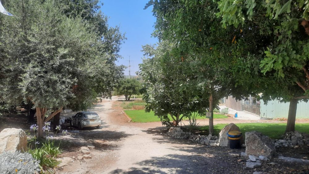 חינוך מיוחד