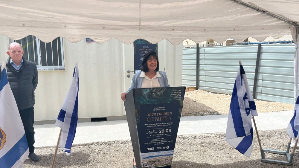 יחידות לצעירים