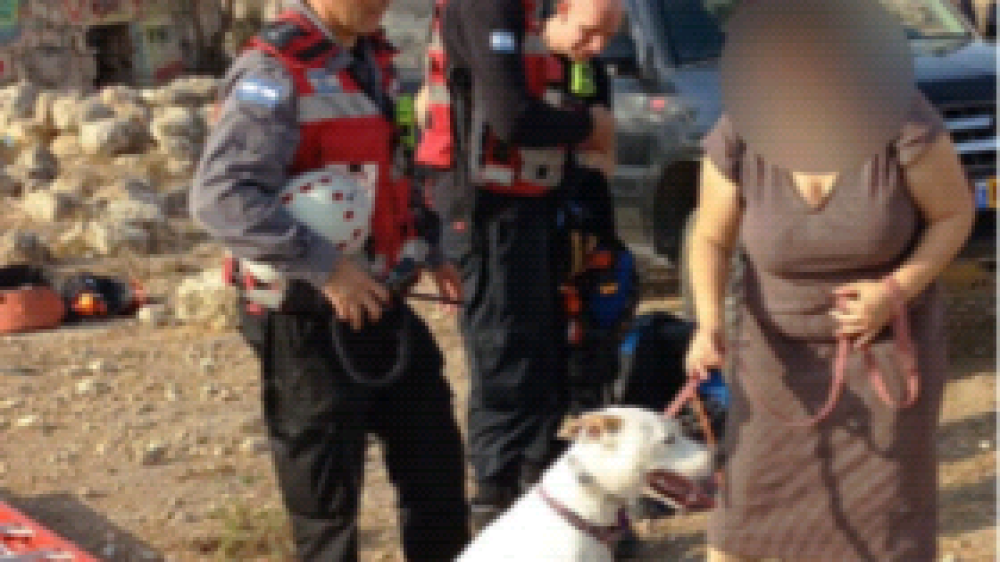 כלב נפל לבור