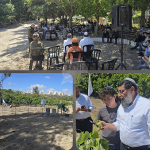 כרם תקומה