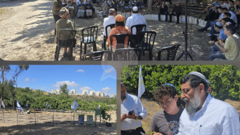 כרם תקומה
