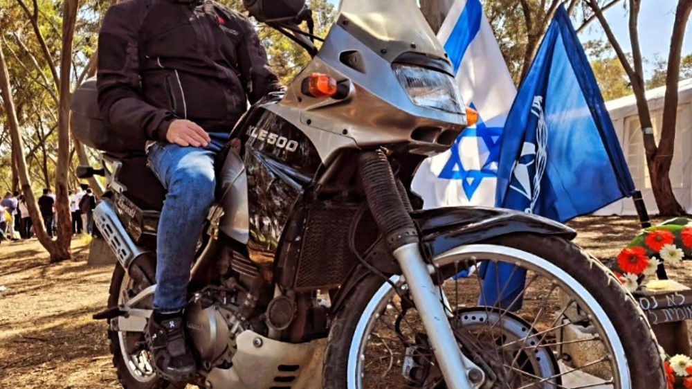 מאור רוזנפלד