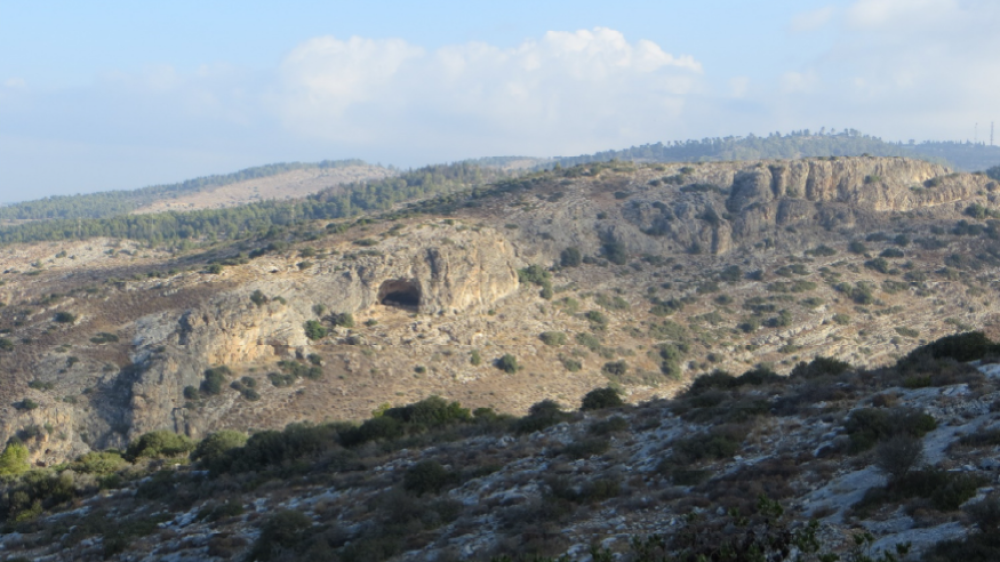 מבט למצוק מערת שמשון צילום החברה להגנת הטבע
