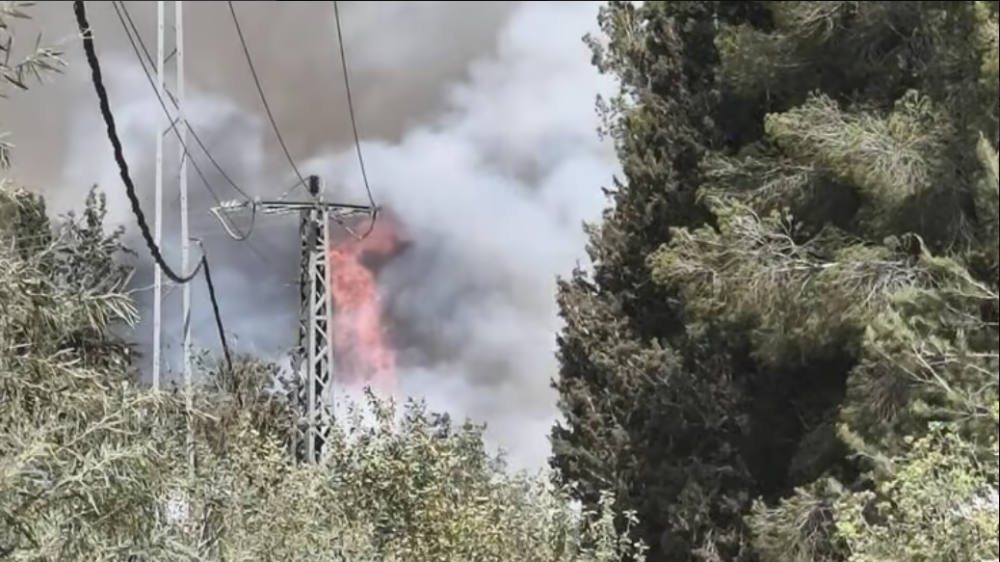 מבקר המדינה