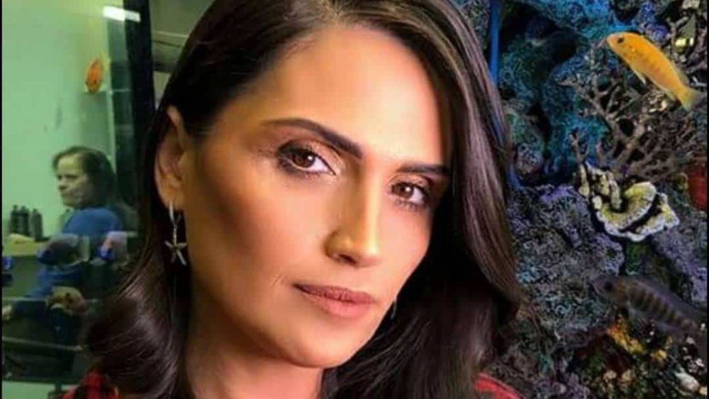 מורן אביכזר