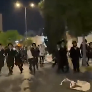 מחאה