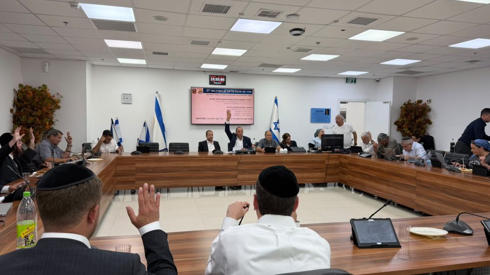 מליאה