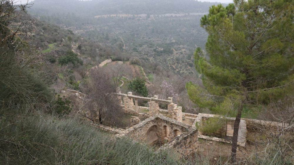 נופים בסטף - יוסי זמיר