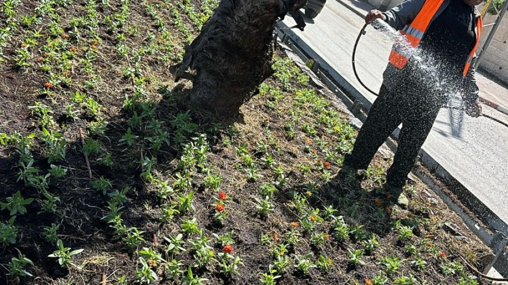 נערכים לפסח