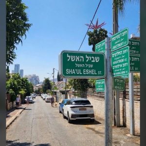 עיר וותיקה