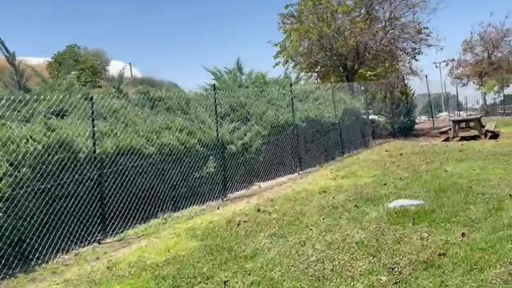 פארק הכלבים