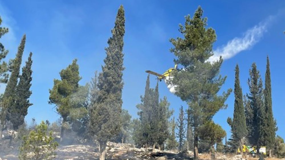 פעולות כיבוי ביער אשתאול צילום כבאות והצלה