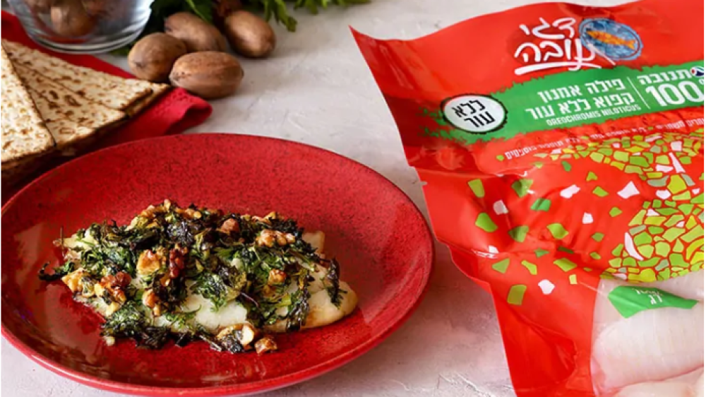 צילום מסך 2023-06-19 145626