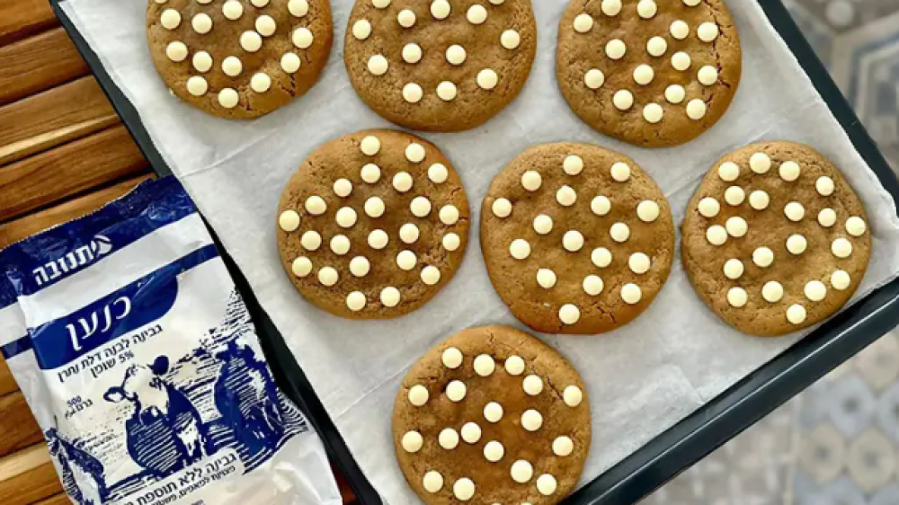 צילום מסך 2023-12-11 115302