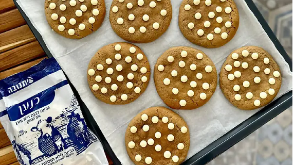 צילום מסך 2024-07-08 190249