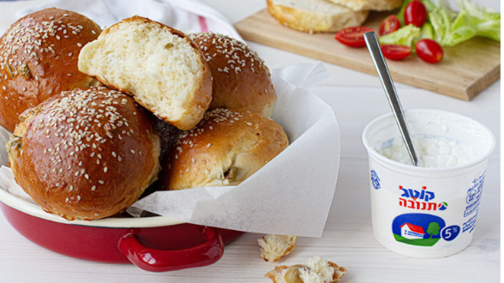 צילום מסך 2025-07-15 095835