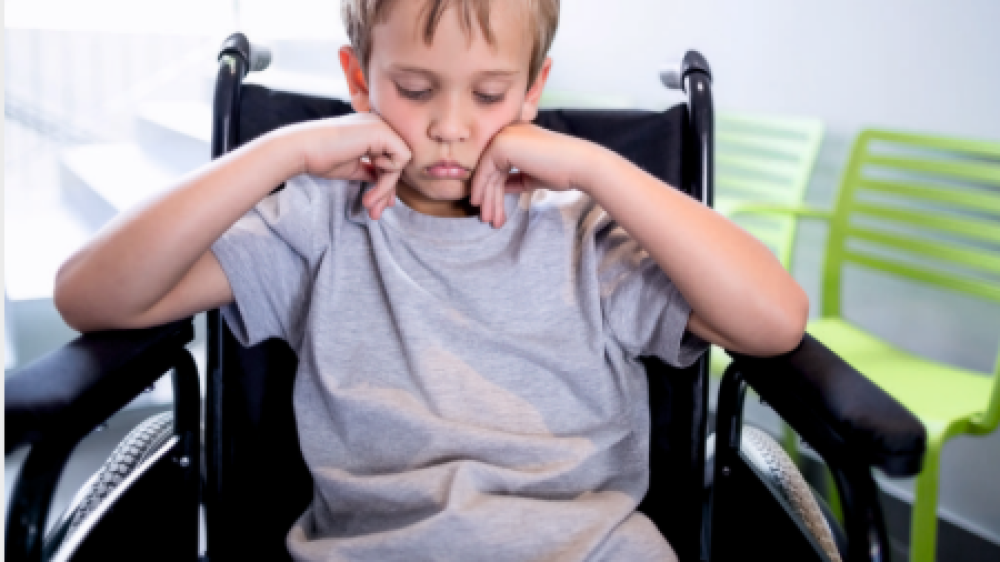 צילום מסך 2025-08-14 150028