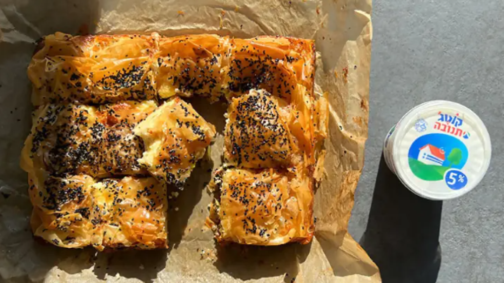 צילום מסך 2025-11-25 091143