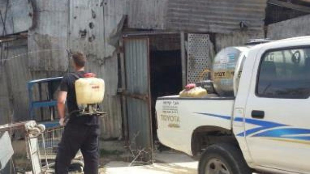 קובי הדברות