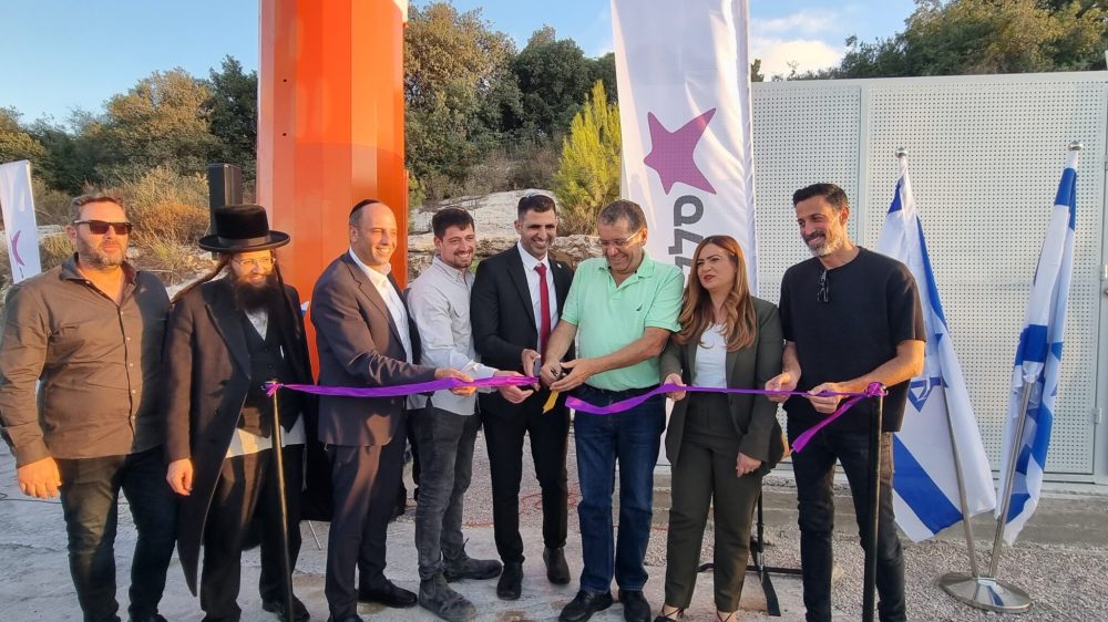 קליטה סלולרית