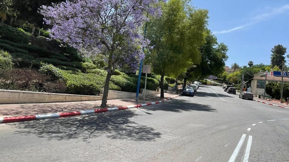 רחוב העלייה