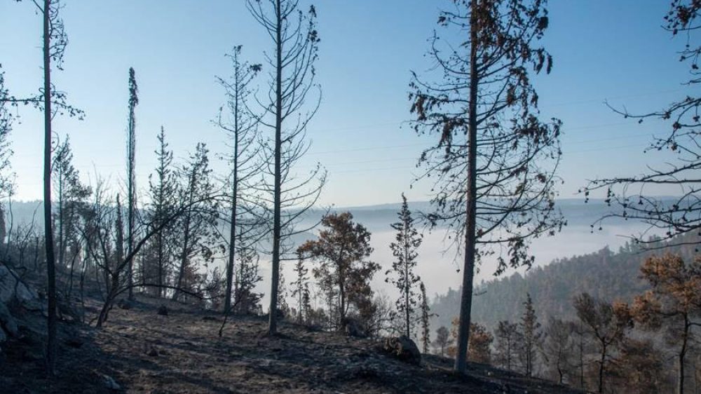 רשות מקרקעי ישראל