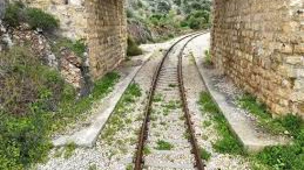 שביל אופניים 1