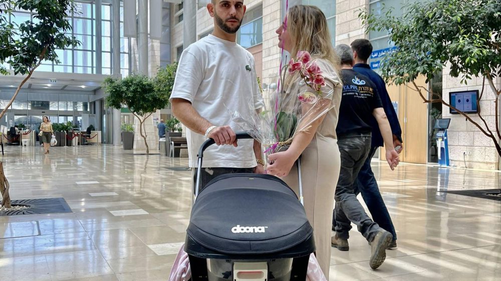 שמעון אלפסי